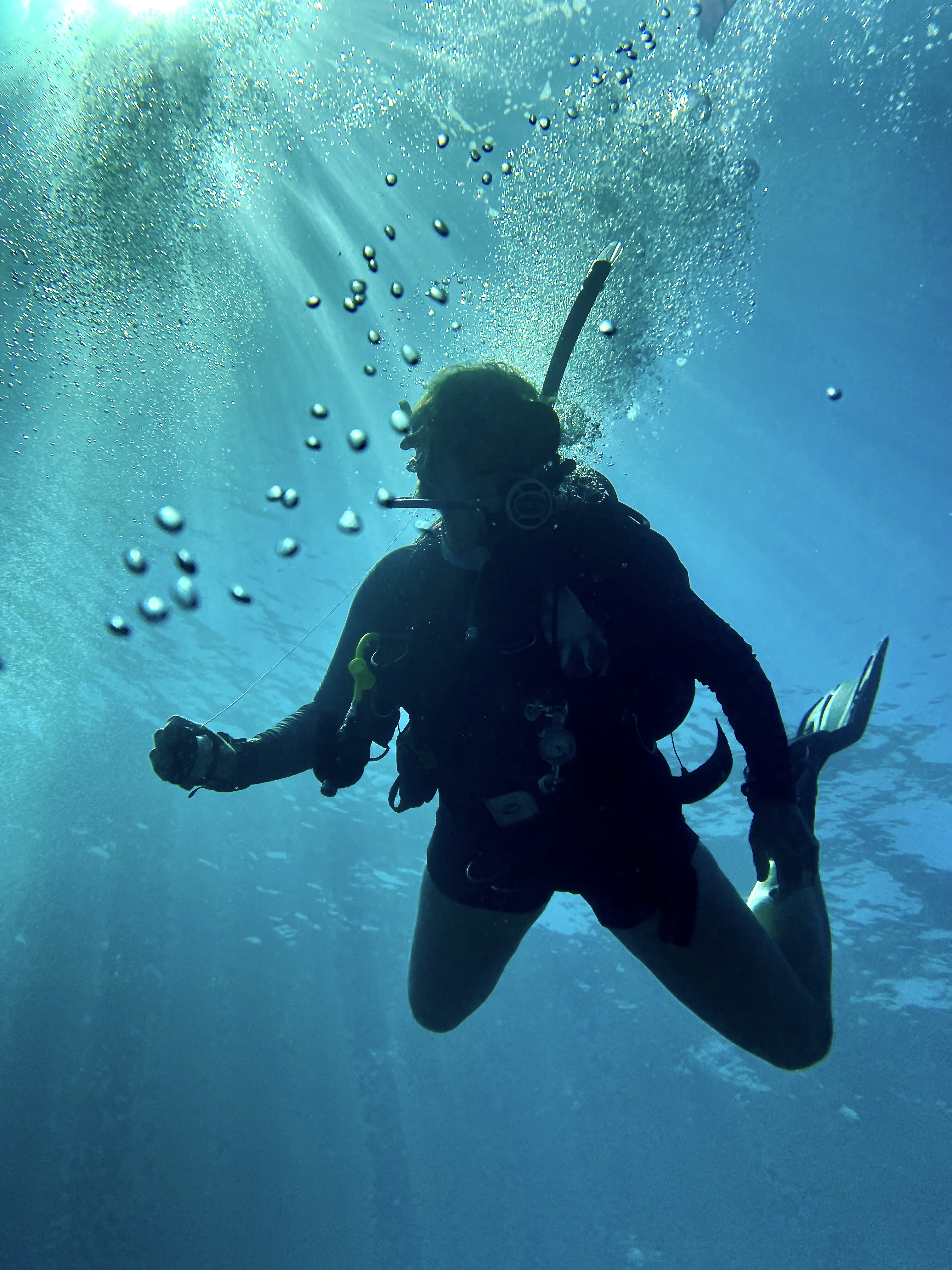 Discovery Dives